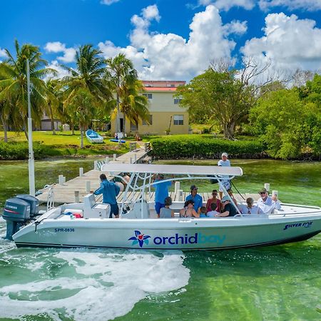 Orchid Bay Resort Corozal Exteriör bild