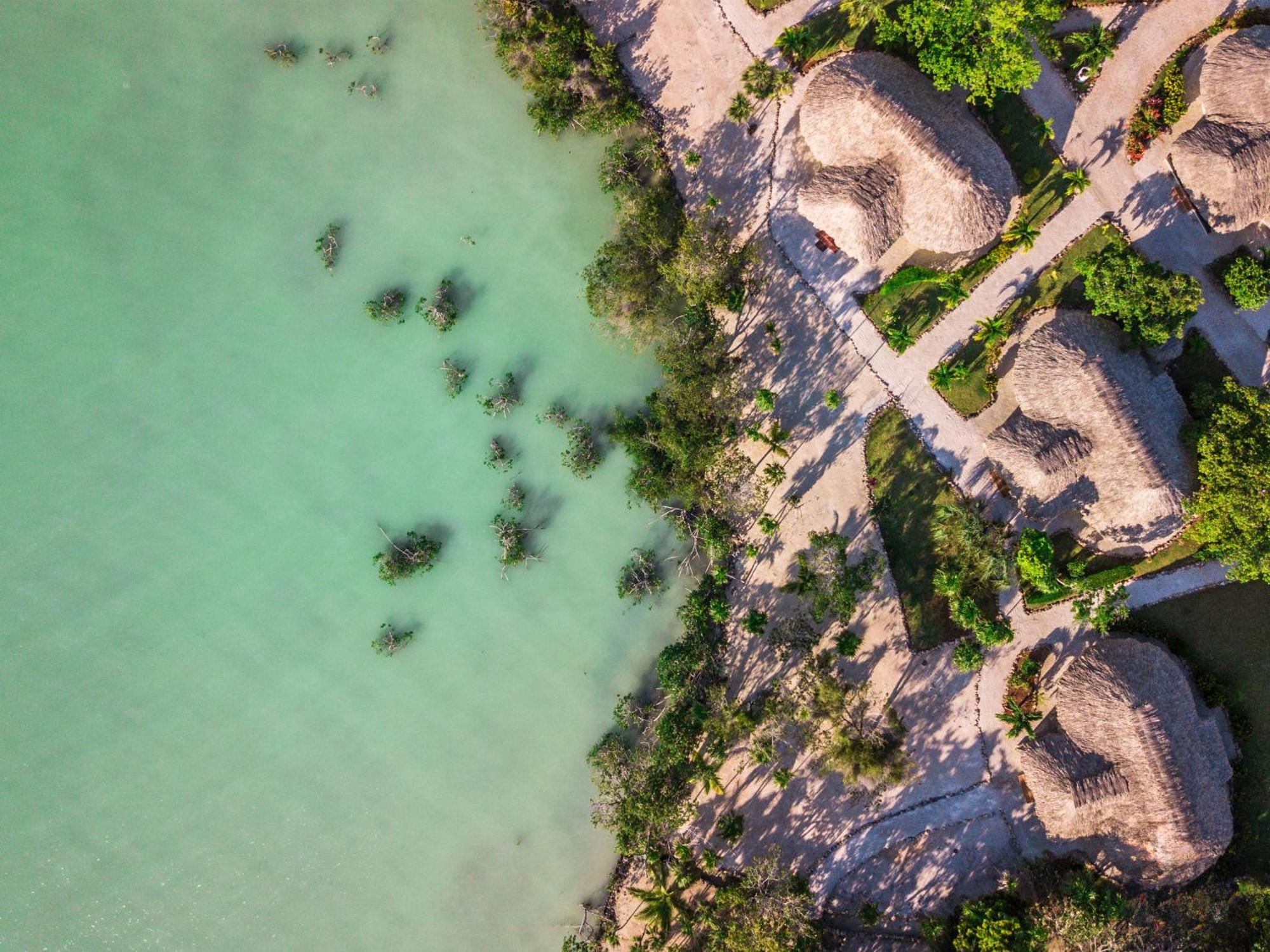 Orchid Bay Resort Corozal Rum bild