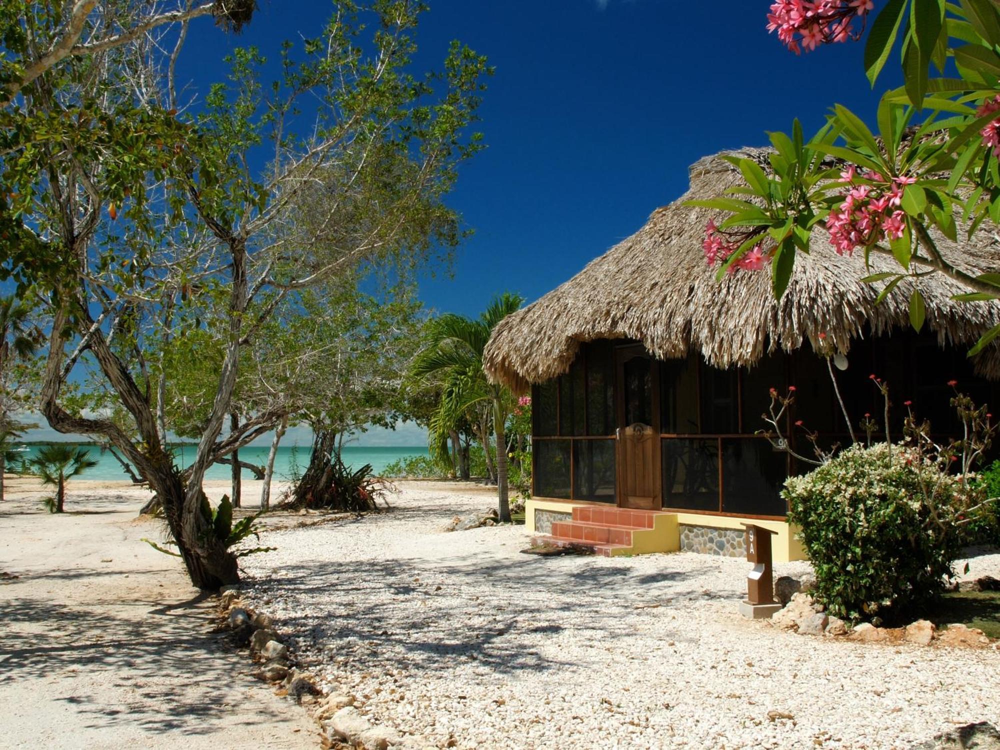 Orchid Bay Resort Corozal Rum bild